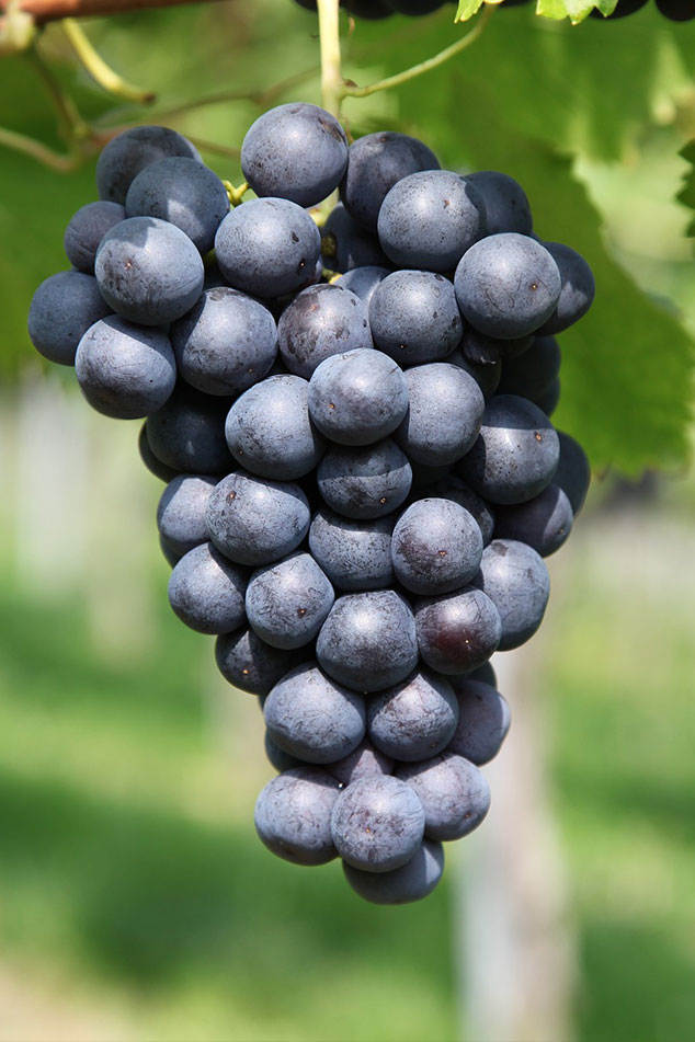 Sobre Nosotros Image 02