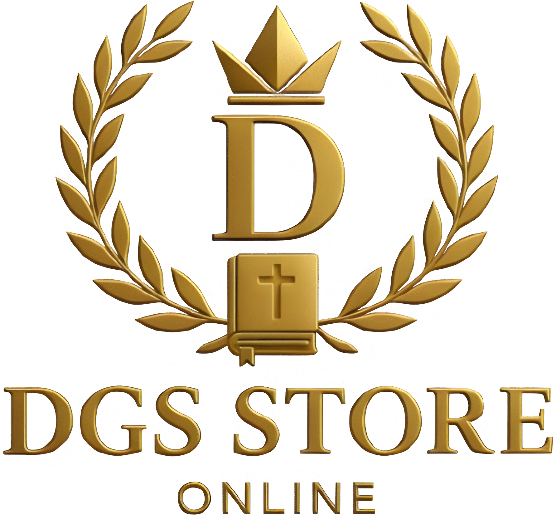logo dgs stotre
